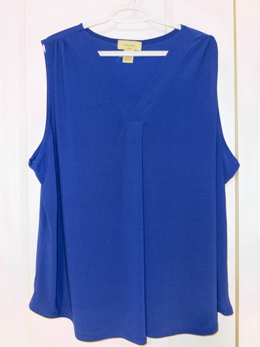 Royal Blue V-Neck Sleeveless Blouse